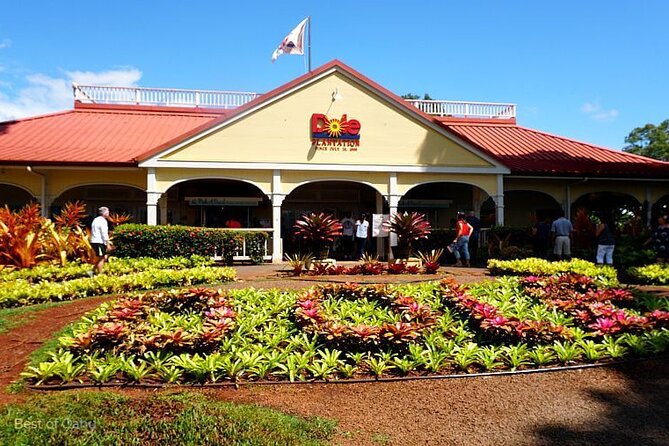 Oahu VIP Circle Island Tour,Private & LUXURY,Northshore,Sunset - Tour Experience and Highlights