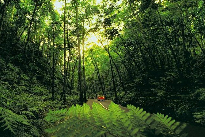 Ocho Rios Highlight & Dunns River - Full Day Tour - Additional Attractions to Explore