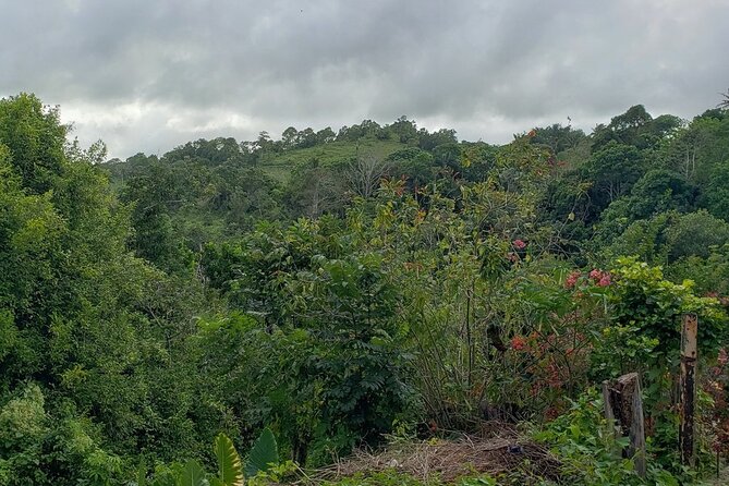 Ocho Rios Sightseeing, Beach Half-Day Tour (Admission Include) - Transportation Details