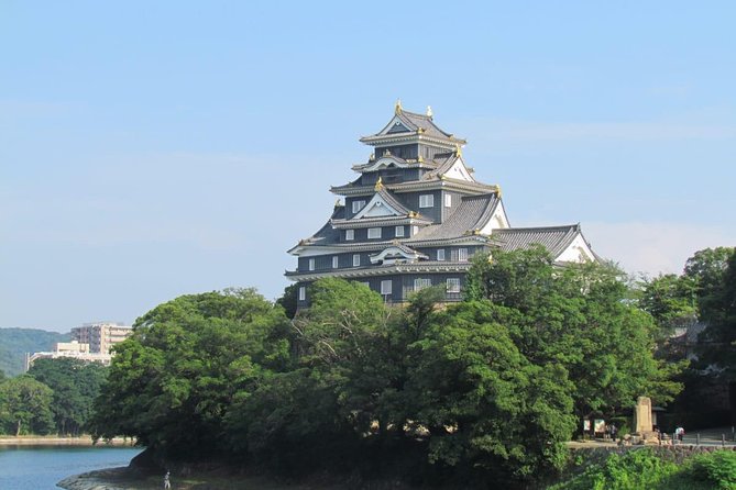 Okayama Half-Day Private Trip With Government-Licensed Guide - Inclusions and Logistics