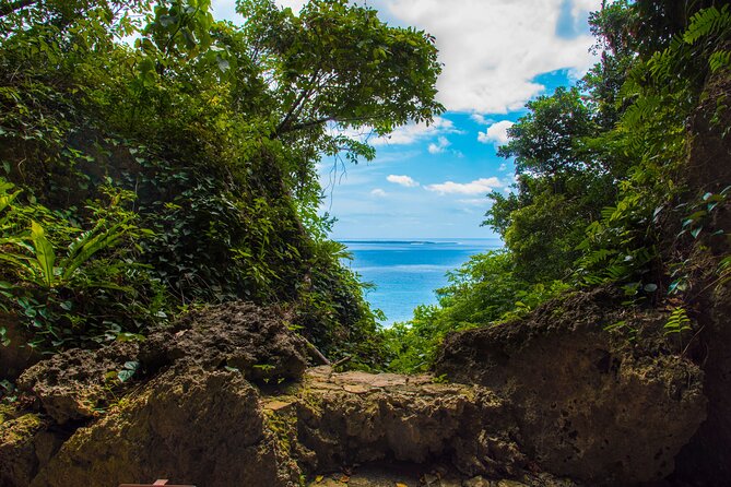 Okinawa Private Customizable 6-Hour Tour By Private Vehicle - Booking and Confirmation