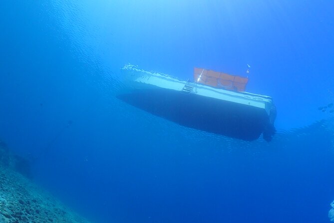Okinawa Scuba Diving for Certified Divers (3 Boat Dives + Lunch) - Pickup and Transportation