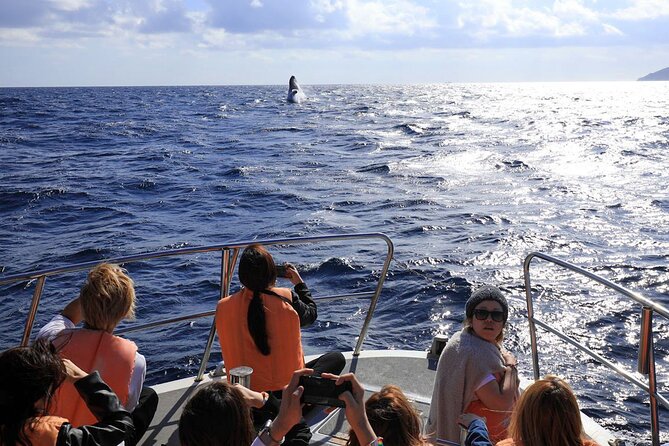 Okinawa Whale Watching From Naha - Inclusions and Amenities