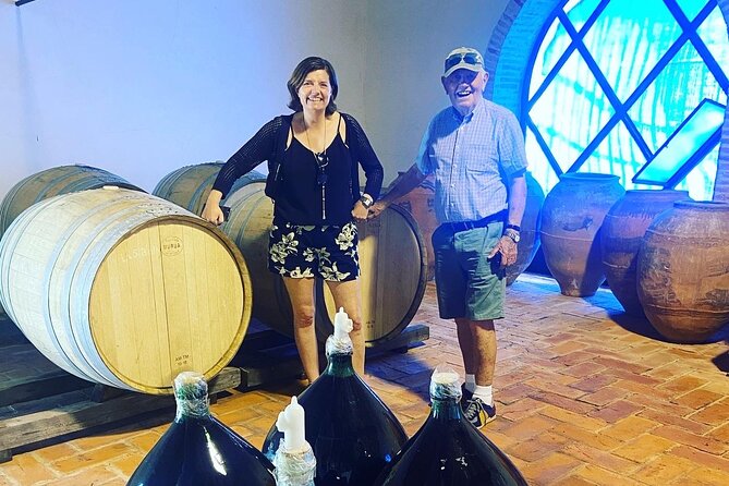 Olive Oil and Winery Tour From Zaragoza City - Guided Oil Mill Visit
