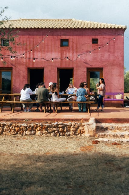 Olive Oil Tasting: Secrets From Ancient Olive Groves - Location and Experience