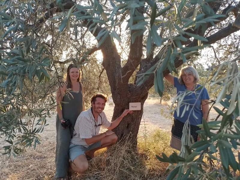Olive Oil Tasting With Seminar in Kriopigi - Halkidiki. - Educational Experience