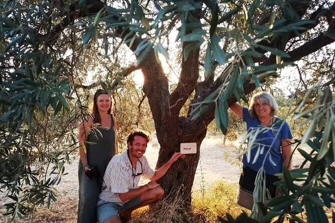 Olive Oil Tasting With Seminar in Metagitsi - Halkidiki - Location Details