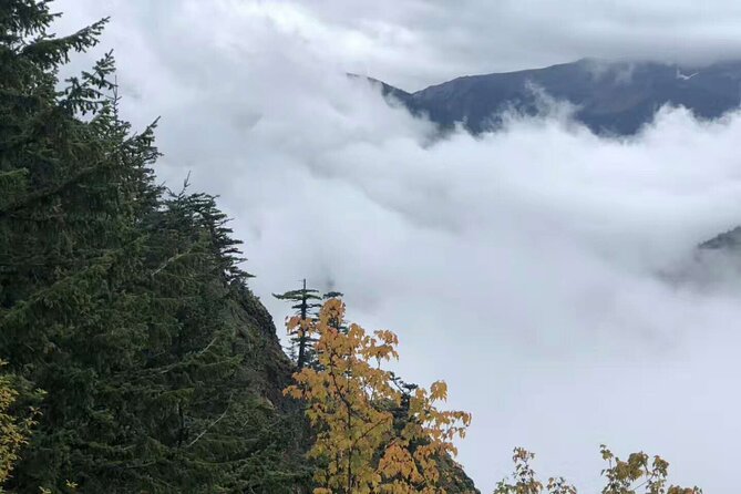 Olympic National Park, Snoqualmie Falls 2-Day Tour From Seattle - Things To Known