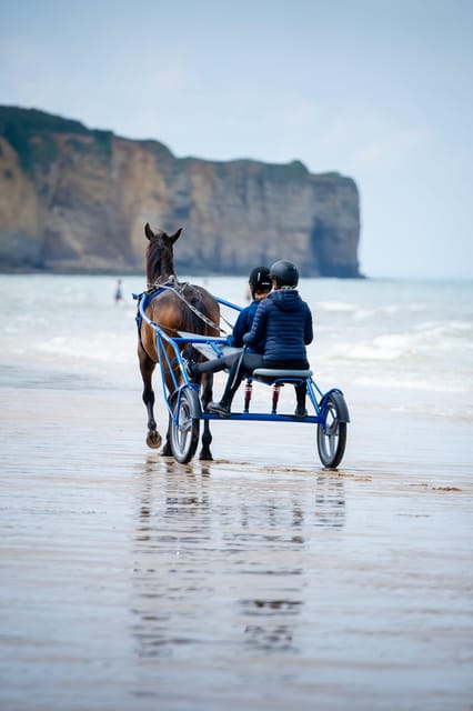Omaha Beach: Sulky Baptism on the Beach - Sulky-Tandem: A Unique Experience