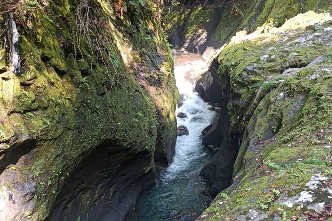 One-Day Customized Minami-Aso & Takachiho Tour - Tour Experience and Highlights
