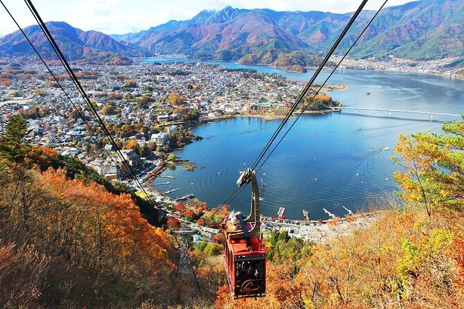 One-Day Tour Around Mount Fuji Departure From Tokyo - Accessibility and Participation