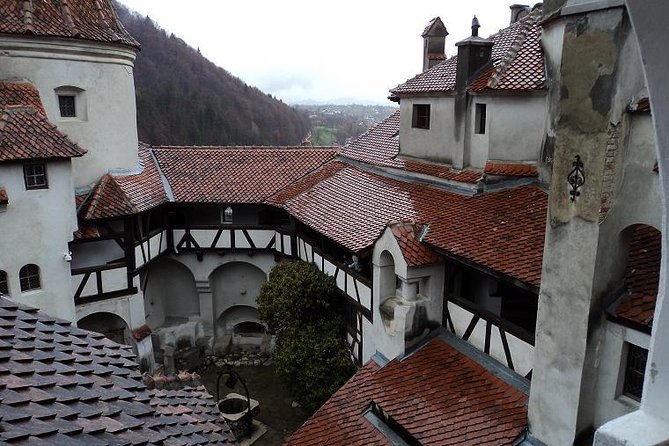 One Day Tour Dracula Castle. Libearty Bear Sanctuary. From Brasov - Meeting Point Information