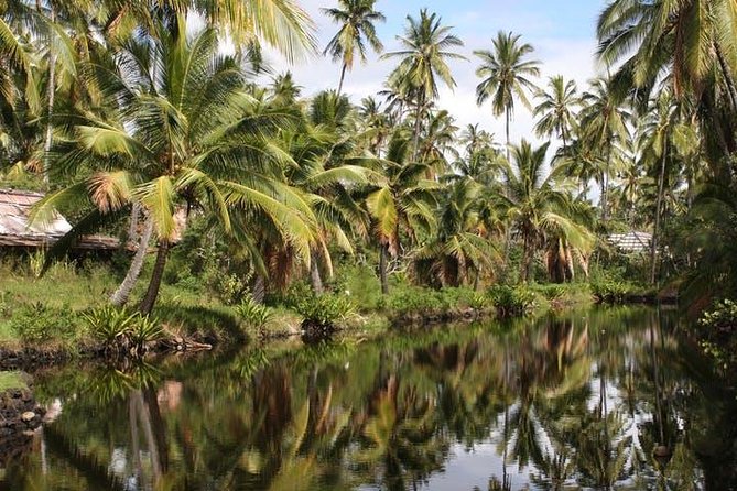 One-Day Tour Hawaii Movie Tour: Island Hopping From Oahu to Kauai - Iconic Film Locations