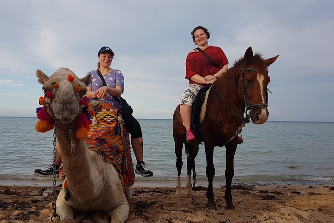 One Hour Camel Ride at Amazing Marsa Alam Desert With Transfer - Marsa Alam - Transfer Information