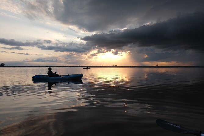 One Single Kayak Rental for 2 Hours With Manatee & Dolphin Sightings! - Included Equipment and Guide