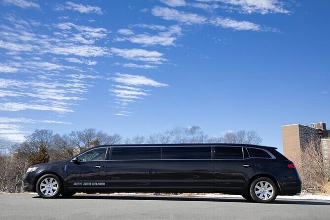ONE WAY: Las Vegas Luxury Limo Transfer From/To Harry Reid Airport (Las) - Pickup and Waiting Times