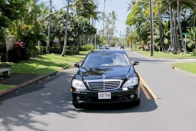 One-way Private Airport Transfer in San Francisco - Waiting Time Policies
