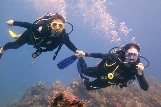 Open Water Diver Course (Padi) - Inclusions and Benefits