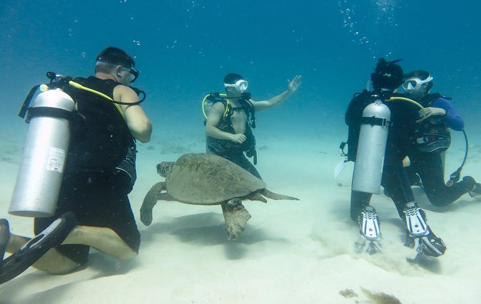 Open Water Scuba Certification - Inclusions