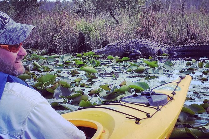 Orlando Alligator Experience - What to Expect on the Tour