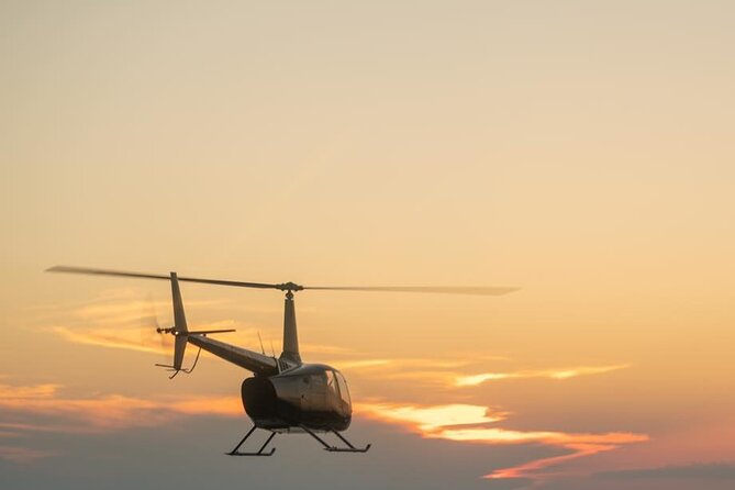 Orlando City Lights and Fireworks Premier Helicopter Tour - Accessibility