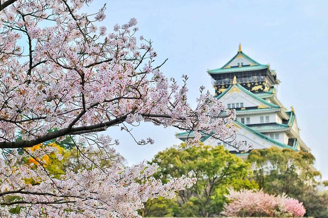 Osaka 8hr Private Tour With Government-Licensed Guide - Accessibility
