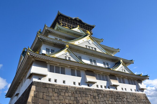 Osaka and Kyoto With National Licensed Guide by Private Car - Accessibility and Special Requirements