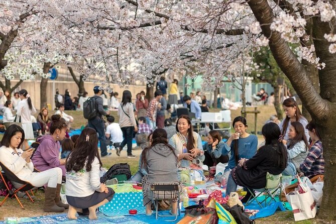 Osaka Cherry Blossom Tour With a Local: 100% Personalized Private - Discovering Hidden Gems