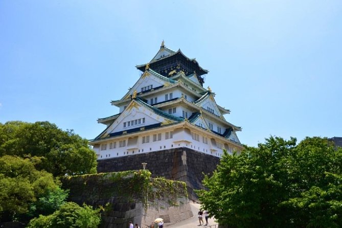 Osaka Private Tour by Public Transportation From Kyoto - Accessibility