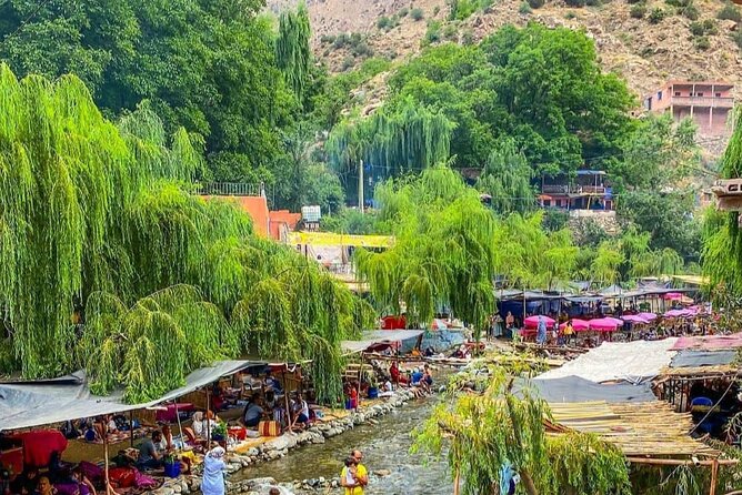 Ourika Valley Day Tour From Marrakech - Tour Inclusions and Amenities