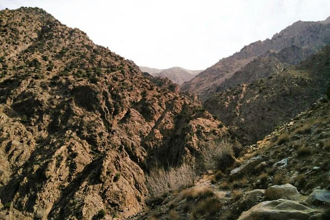 Ourika Valley Full Day Trip From Marrakech - Itinerary Highlights