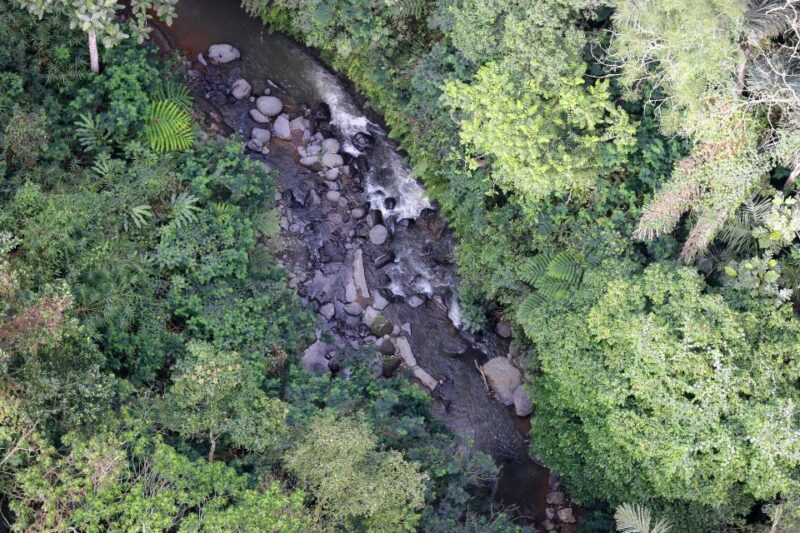 Overnight Camping Experience in Kitulgala - Experience Highlights