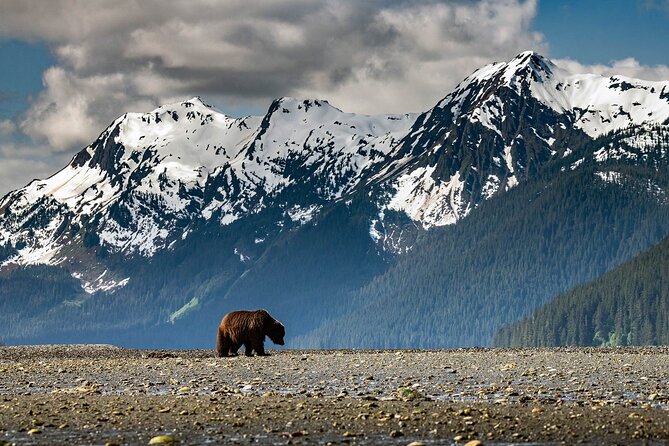Pack Creek Bear Viewing: A Review - Meeting and Transportation Logistics