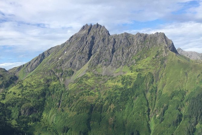 Pack Creek Brown Bear Viewing Juneau - Inclusions and Logistics