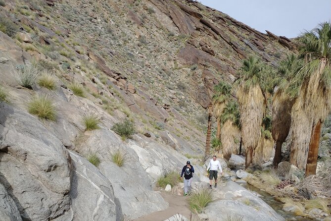 Palm Springs Desert Oasis Hike in Indian Canyons - Meeting Point and Pickup Information