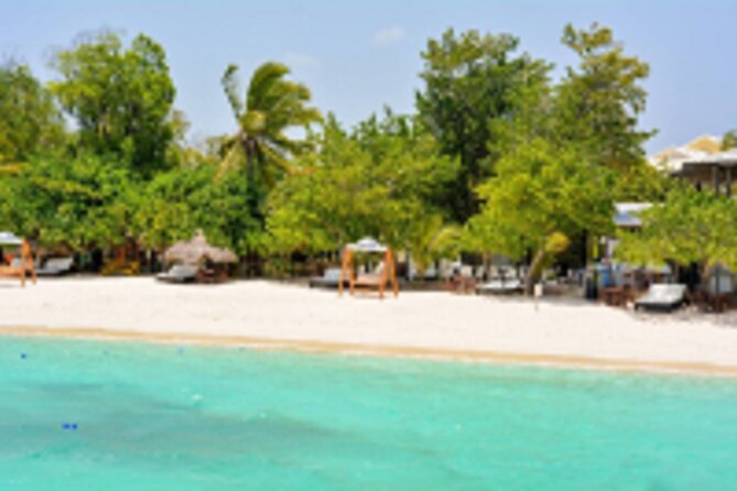 Paradise and Pigs Full Day Excursion From Puerto Plata With Lunch - Breakfast and Lunch Inclusions