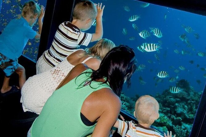 Paradise Conquest Semi-Submarine With Snorkeling From Hurghada - Inclusions and Amenities