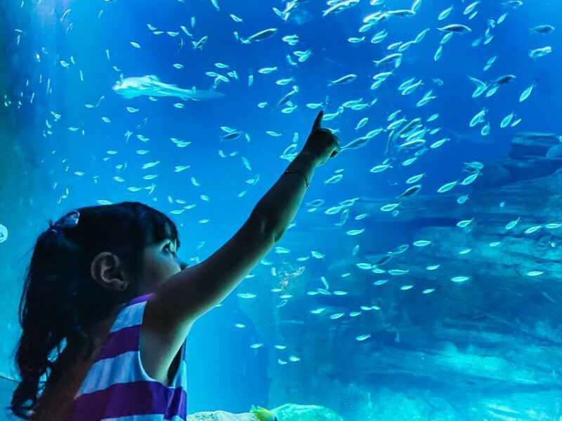 Paris: Aquarium De Paris Entrance Ticket - Aquarium Features and Highlights