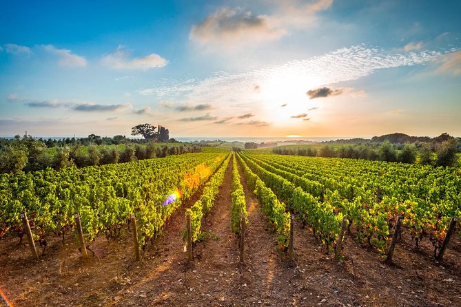 Pasta O Pizza Making Class With Wine Tour in Rome Countryside - Culinary Adventure