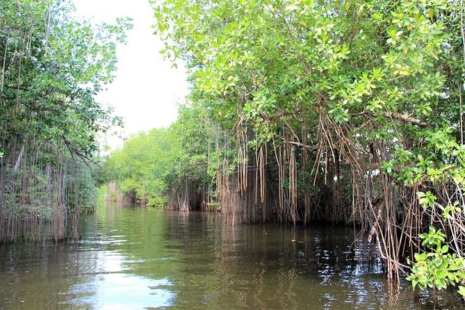 Pelican Bar and Black River Safari Combine Tour From Montego Bay - Pelican Bar Experience