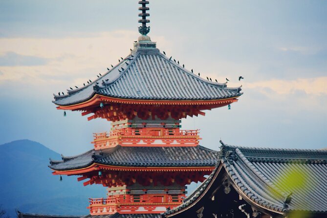 Perfect 4 Day Sightseeing in Japan - English Speaking Chauffeur - Additional Information and Policies