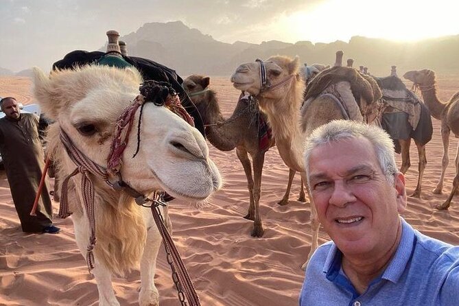 Petra, Wadi Rum and Dead Sea 2 Days Private Tour - Transportation Details