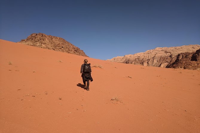 Petra & Wadi Rum Shore Excursion Aqaba Port - Inclusions of the Tour