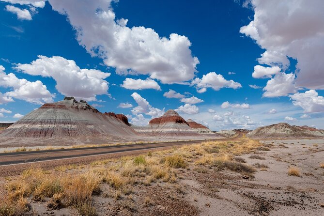 Petrified Forest National Park Self Guided Audio Driving Tour - Accessibility and Support