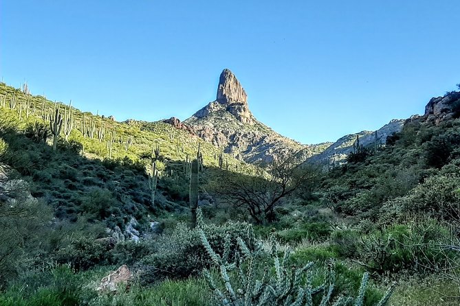 Phoenix Wilderness Hiking Tours Review - Operating Hours