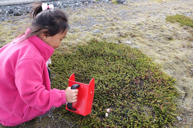 Picking Wild Berries and Making Your Own Jam in Iceland - Location and Meeting Point