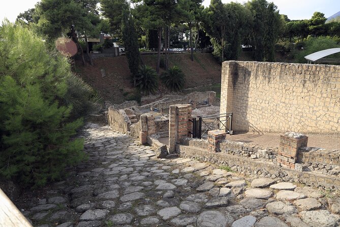 Pompeii Day Tour - Physical Fitness Requirements