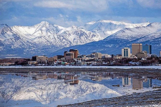 Port Homer Day Tour - Wilderness, Wildlife and Beach Experience - Exploring the Alaskan Wilderness