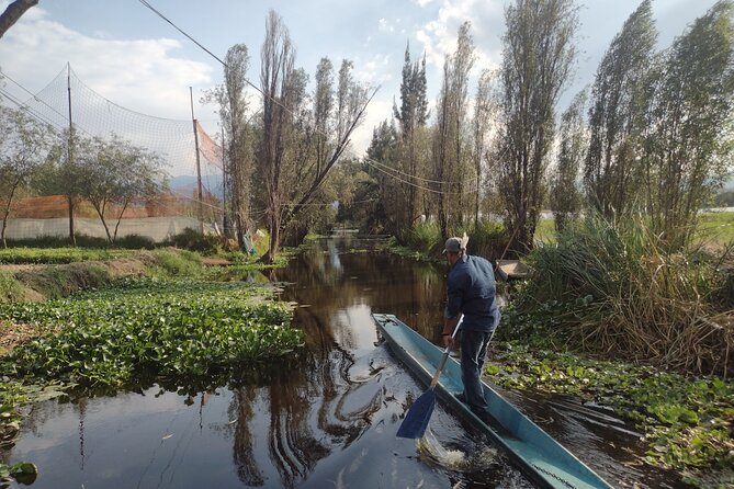 Pre-Hispanic Xochimilco, Meet Ajolotes!. Private Ecotour. - Private Tour Experience