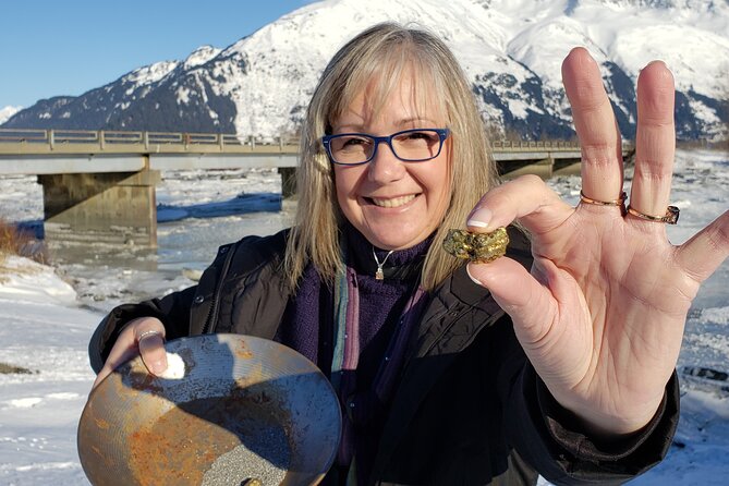 Premiere City Tour of Anchorage-Mountain Views & Native Culture - Whats Included